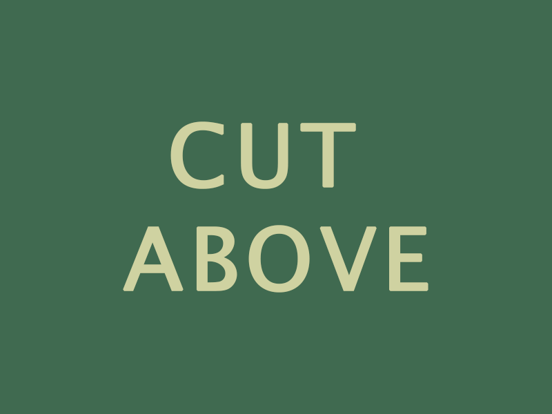 Cut Above