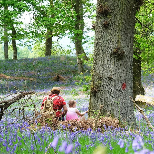 Wellmeadow Blairgowrie - lots of spots to enjoy