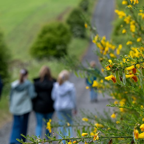 Walking in Blairgowrie