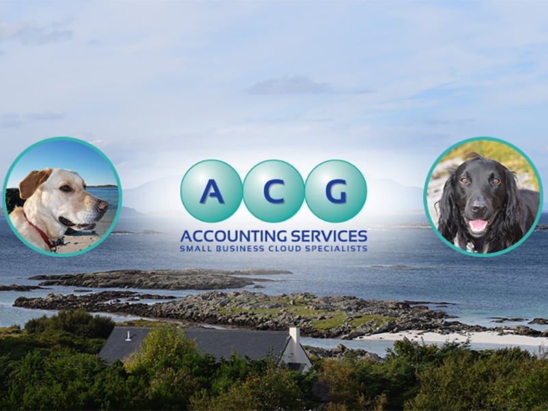 ACG Accounting Services