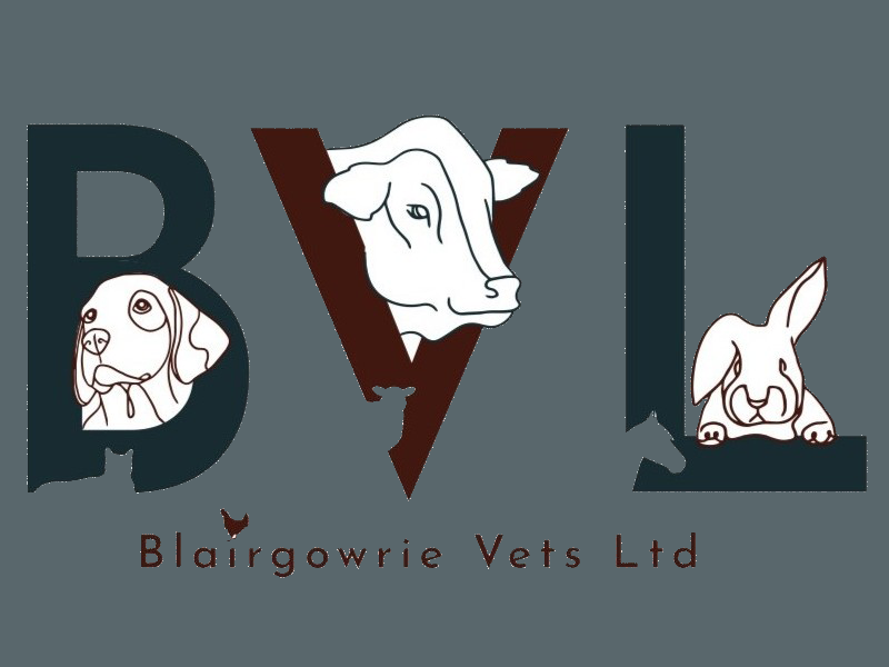 Blairgowrie Vets