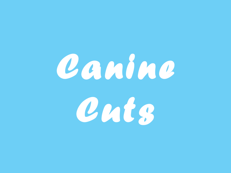 Canine Cuts Dog Grooming