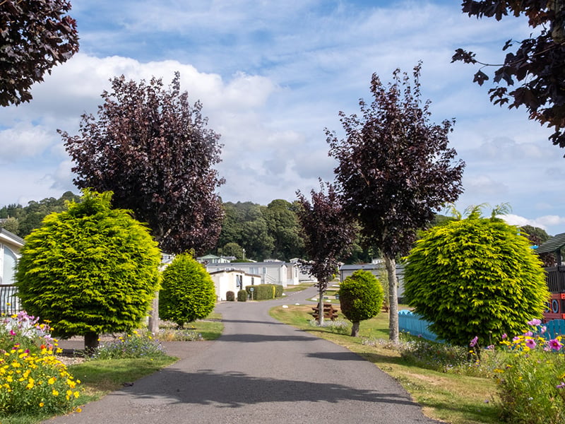 Blairgowrie Holiday Park