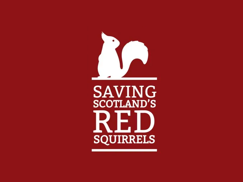 Saving Red Squirrels