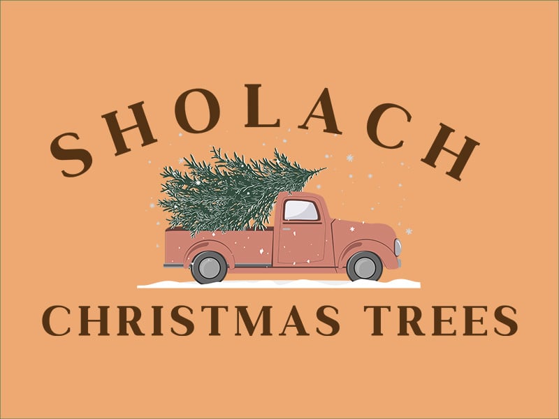 Sholach Christmas Trees