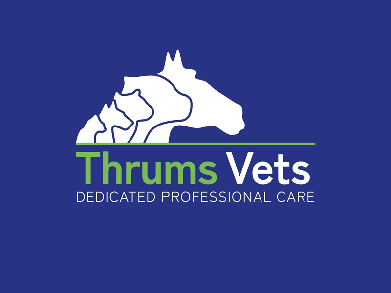 Thurms Vets