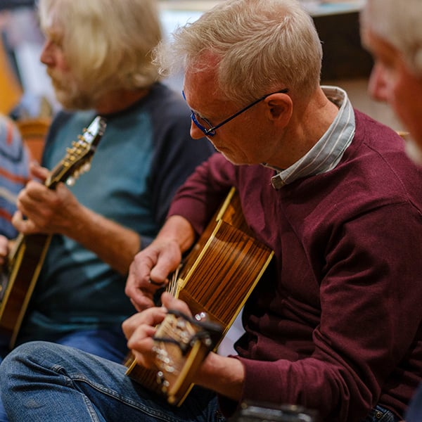 String instruments in a band