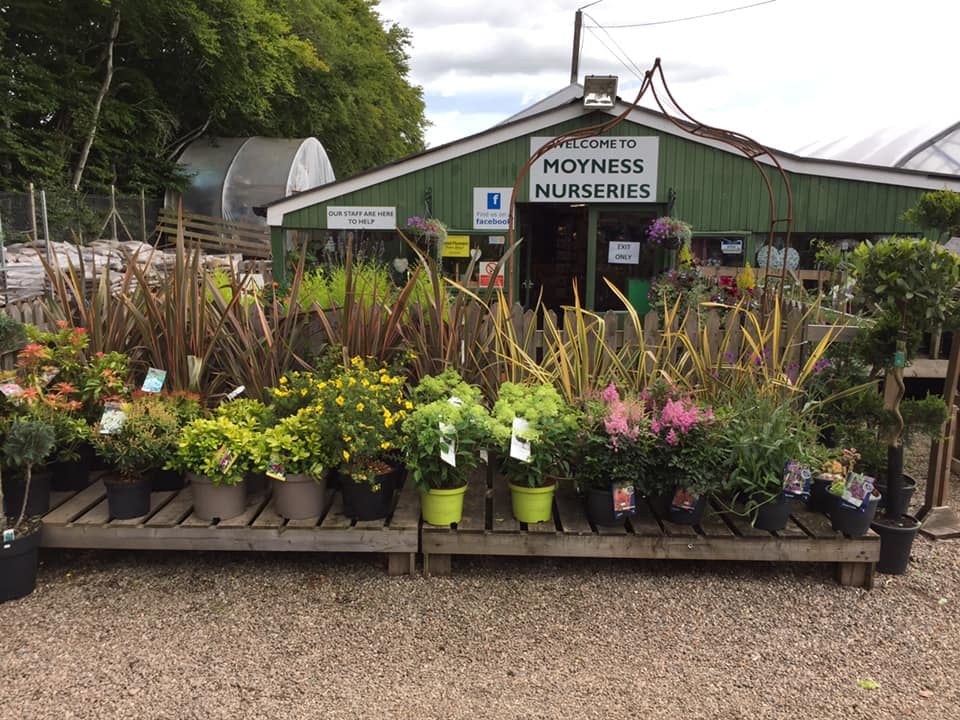 Moyness Garden Centre