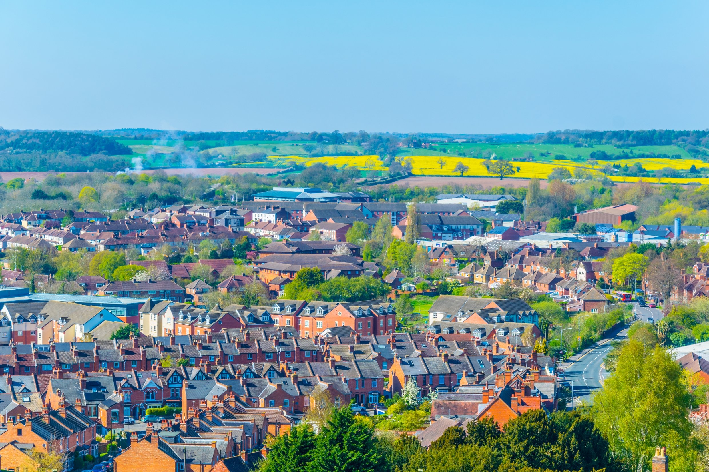 Your Local Pest Control Specialists