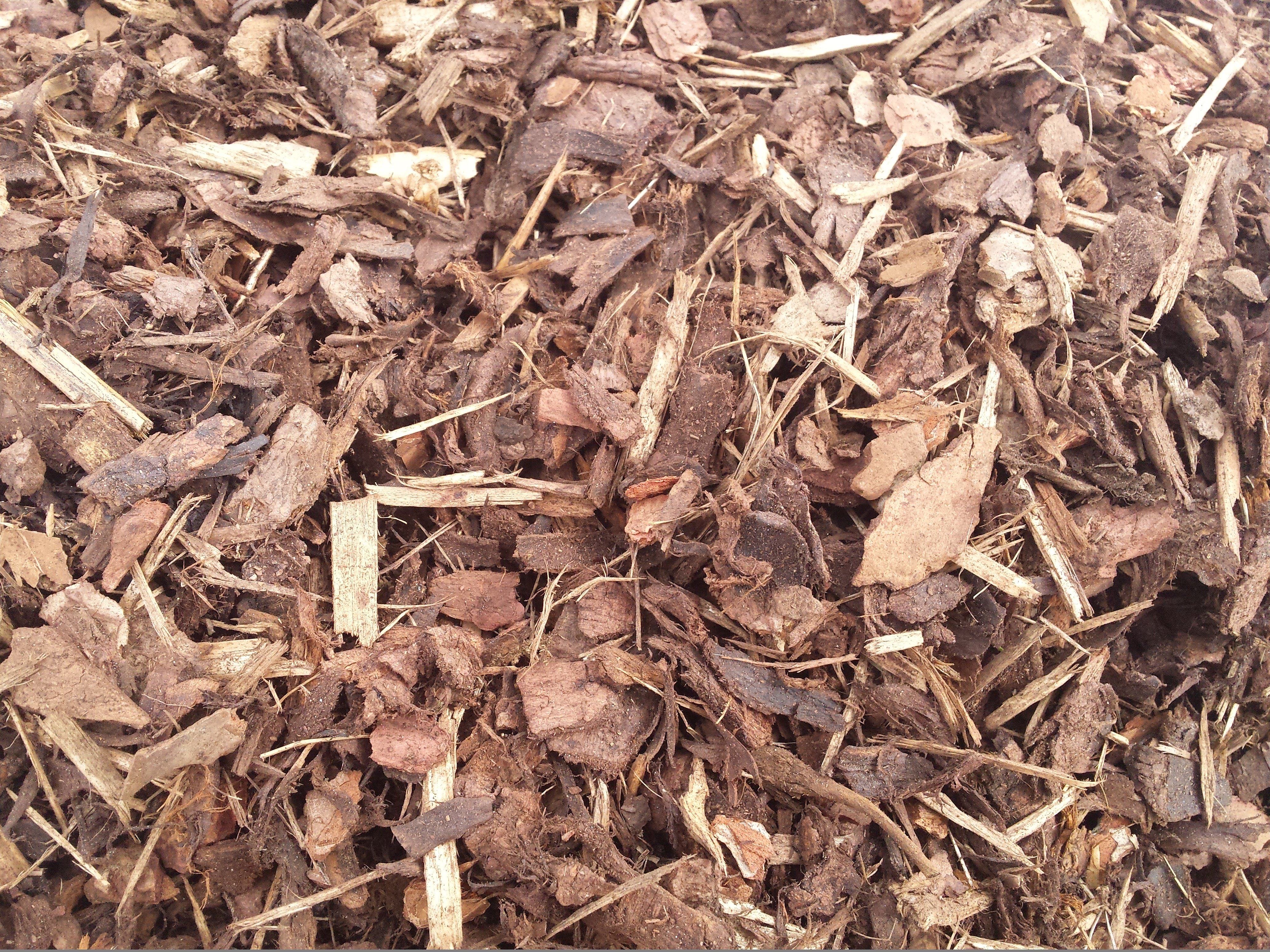 What is mulch and why should we use it?
