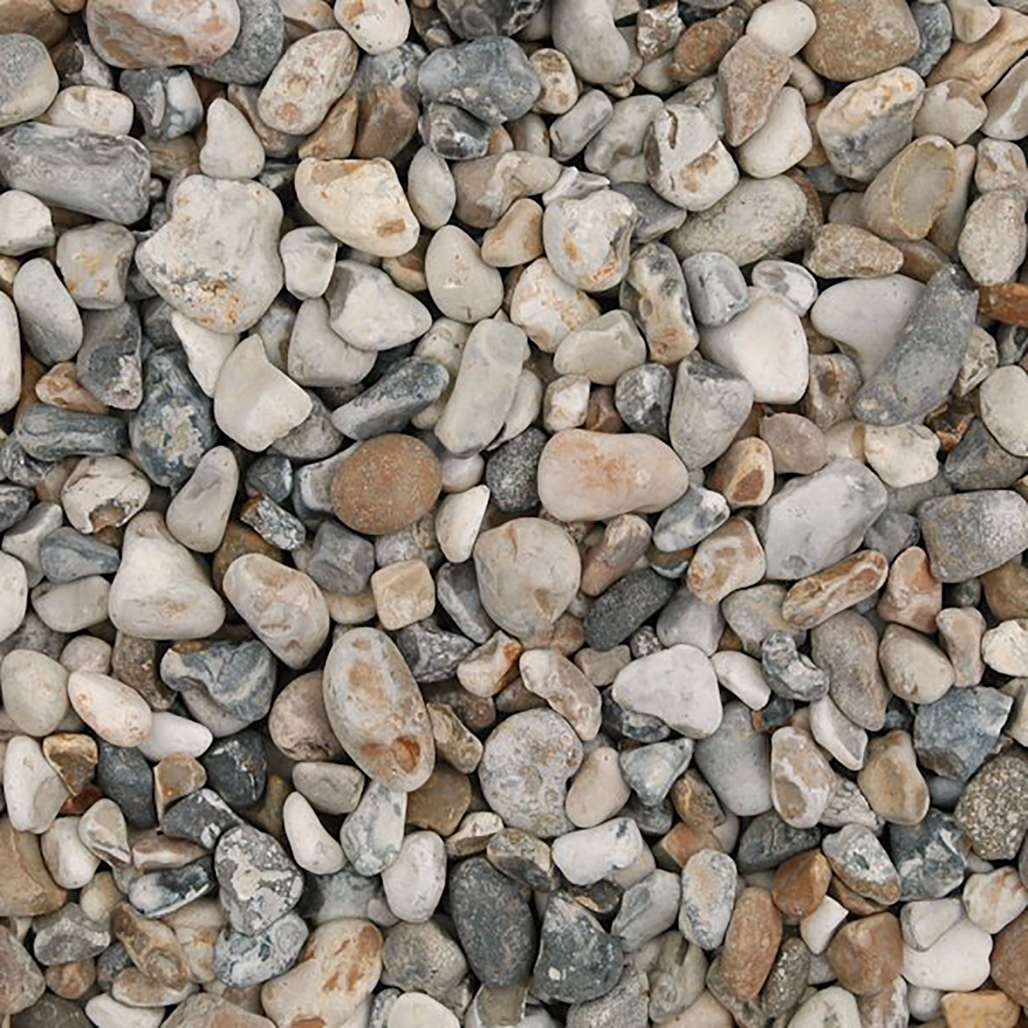 Oyster Pebbles Bulk Bag