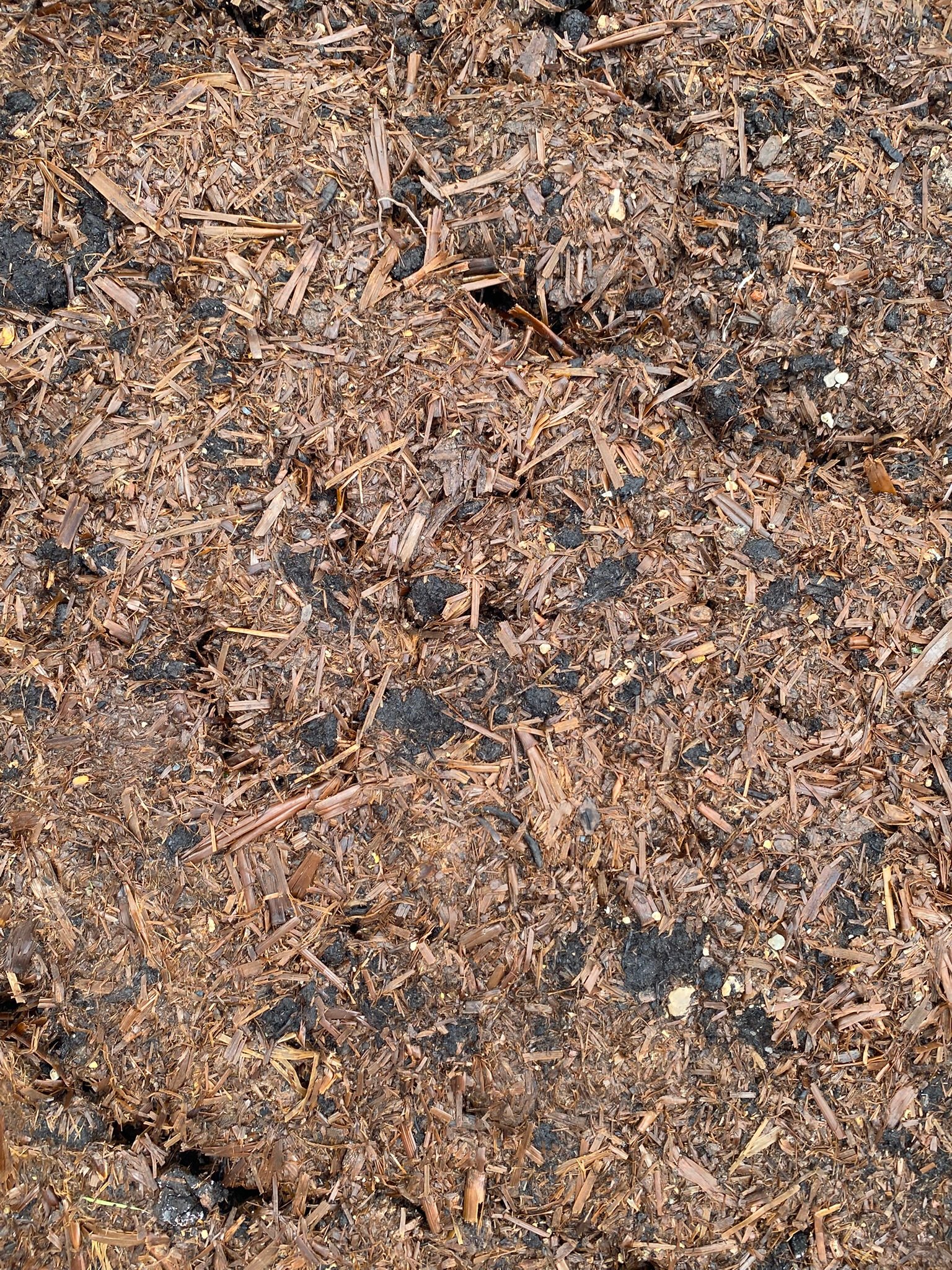 Maize and Meadow Mulch