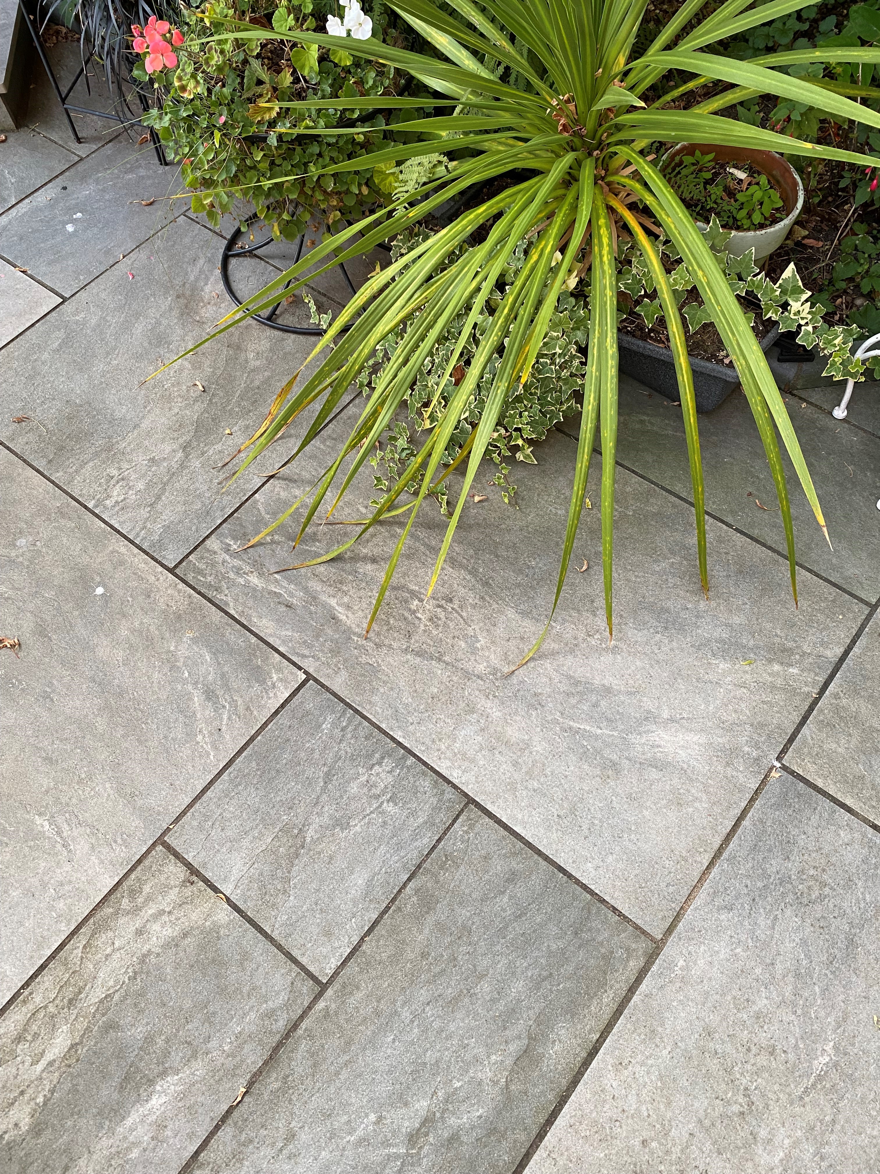 Paving slabs for patios and pathways