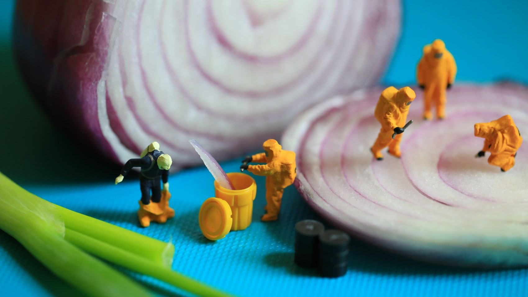 blog header image