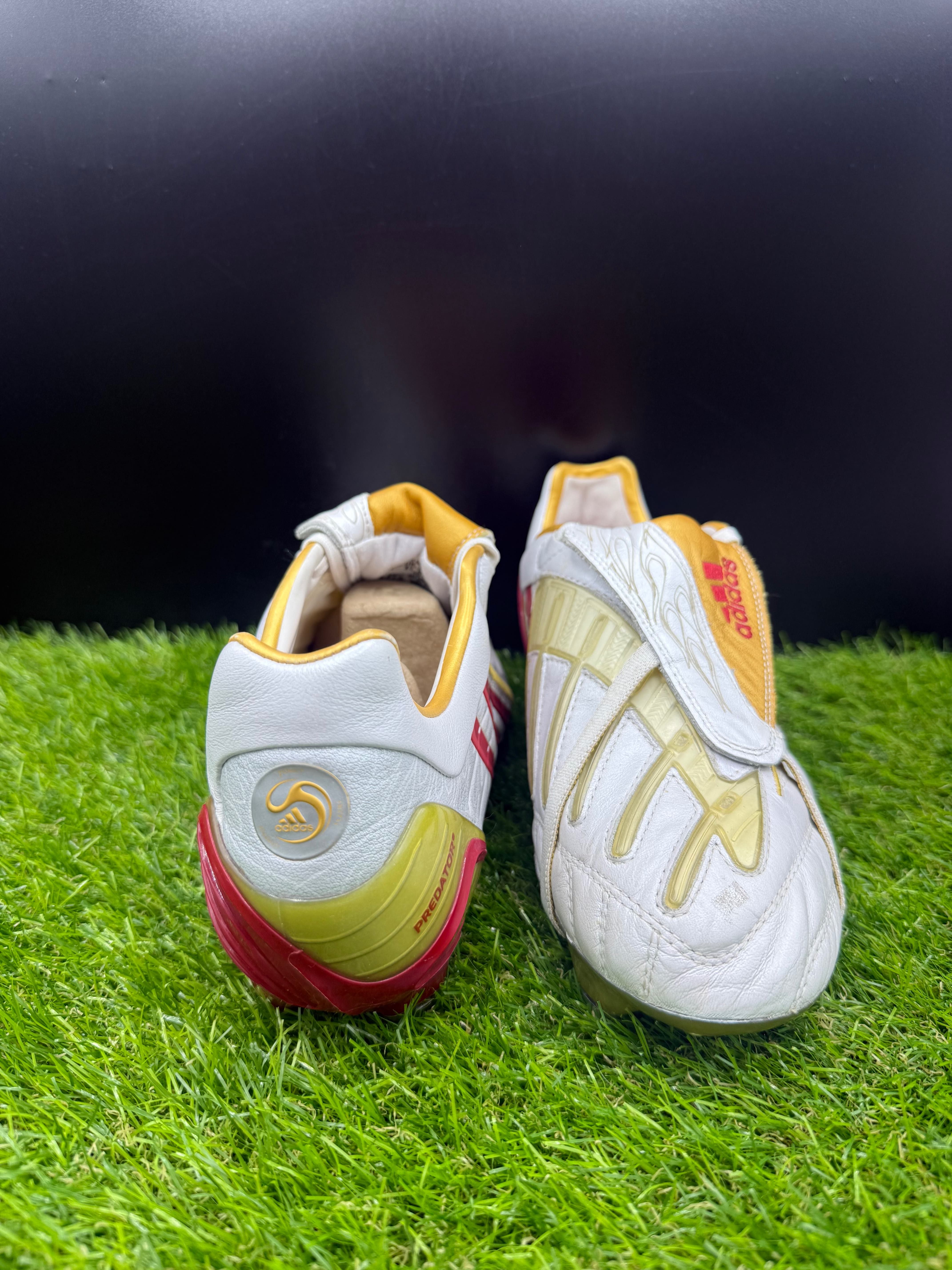 Adidas Predator Powerswerve Elite SG