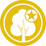 ELITE WOOD
