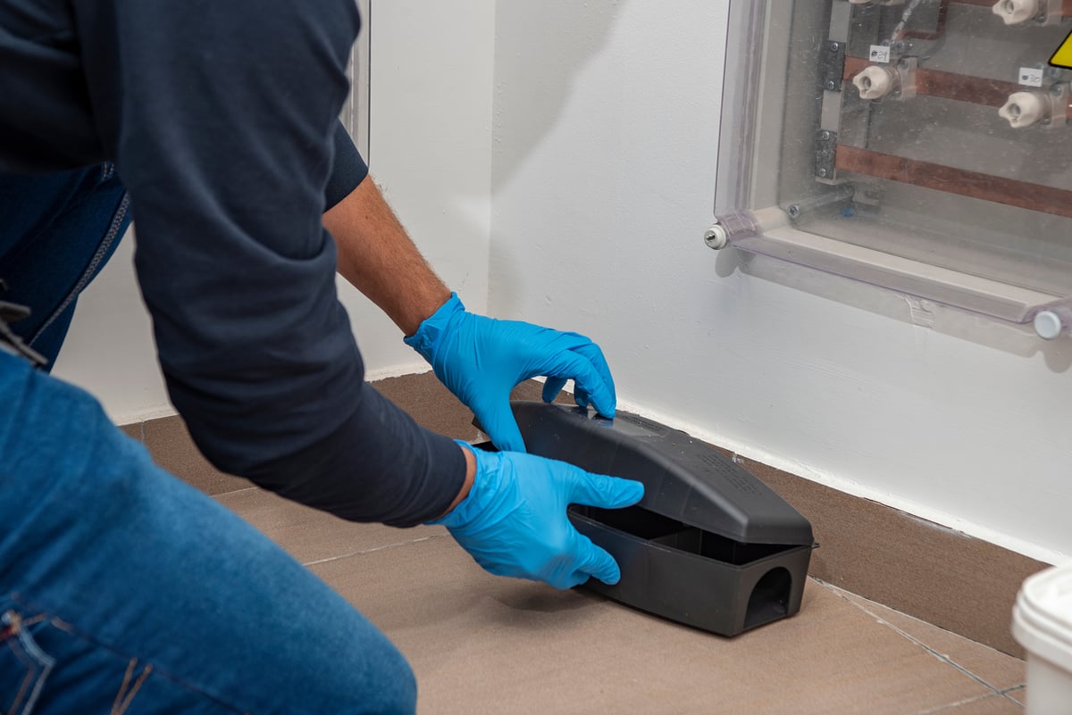 Reliable Commercial Pest Control in Berkshire to Protect Your Business