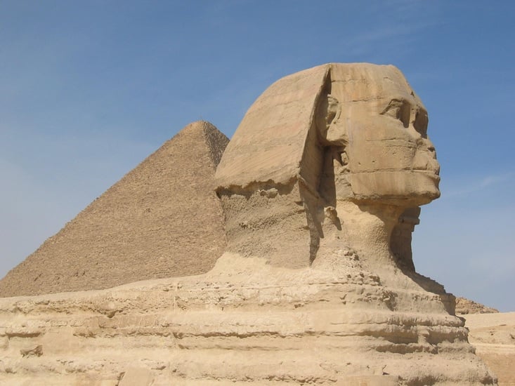 Weather Has Created Perfect Recipe for Pharaoh Ants
