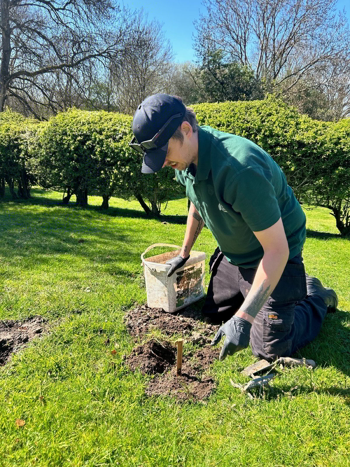 Pest control service