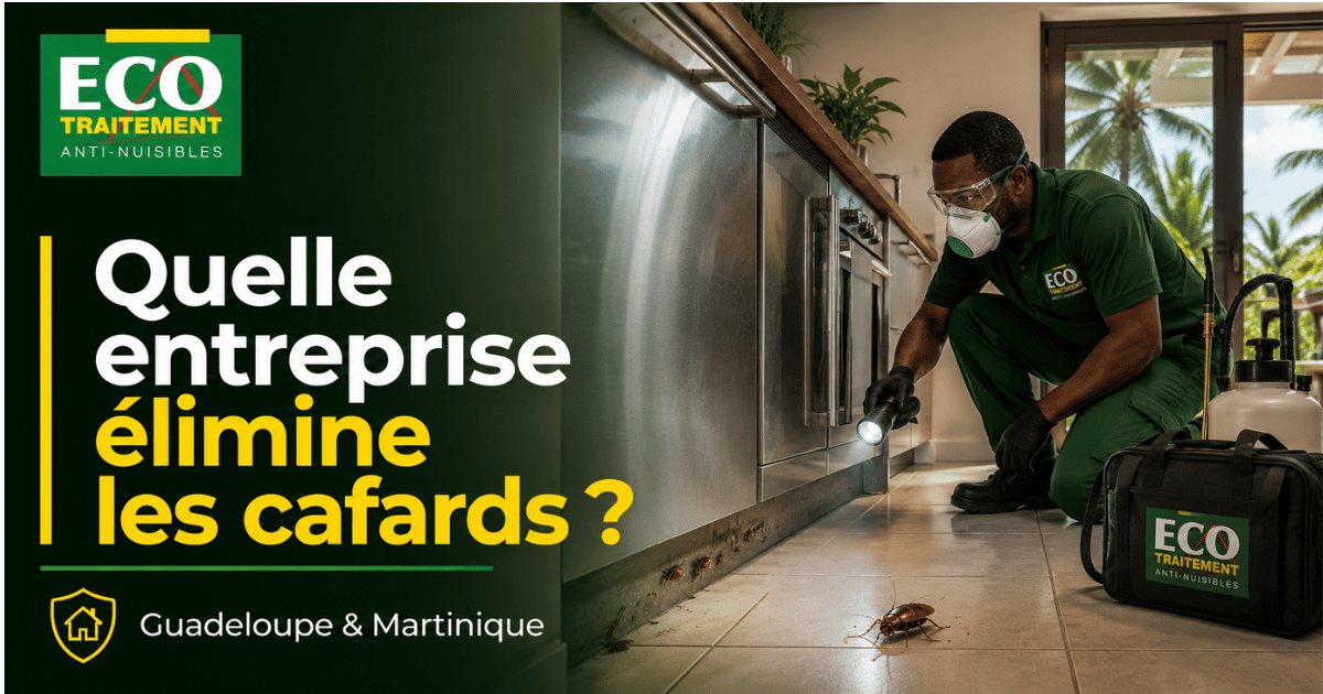 Quelle entreprise peut éliminer les cafards en Guadeloupe et en Martinique ?