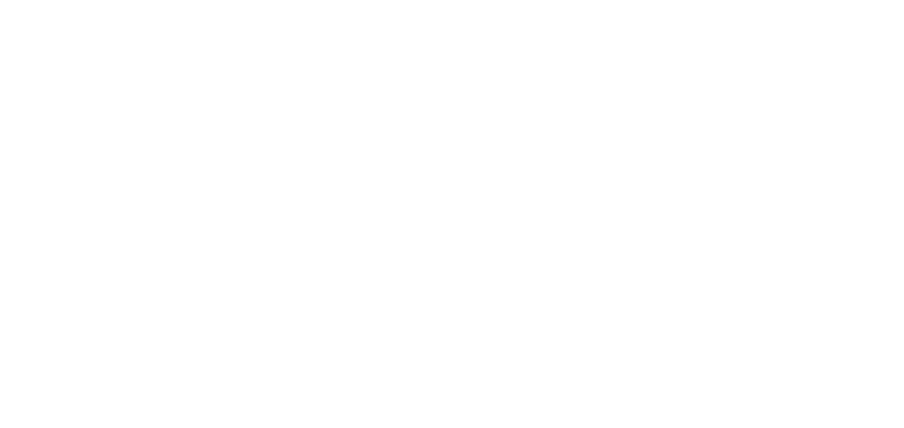 Cyber-essentials-white