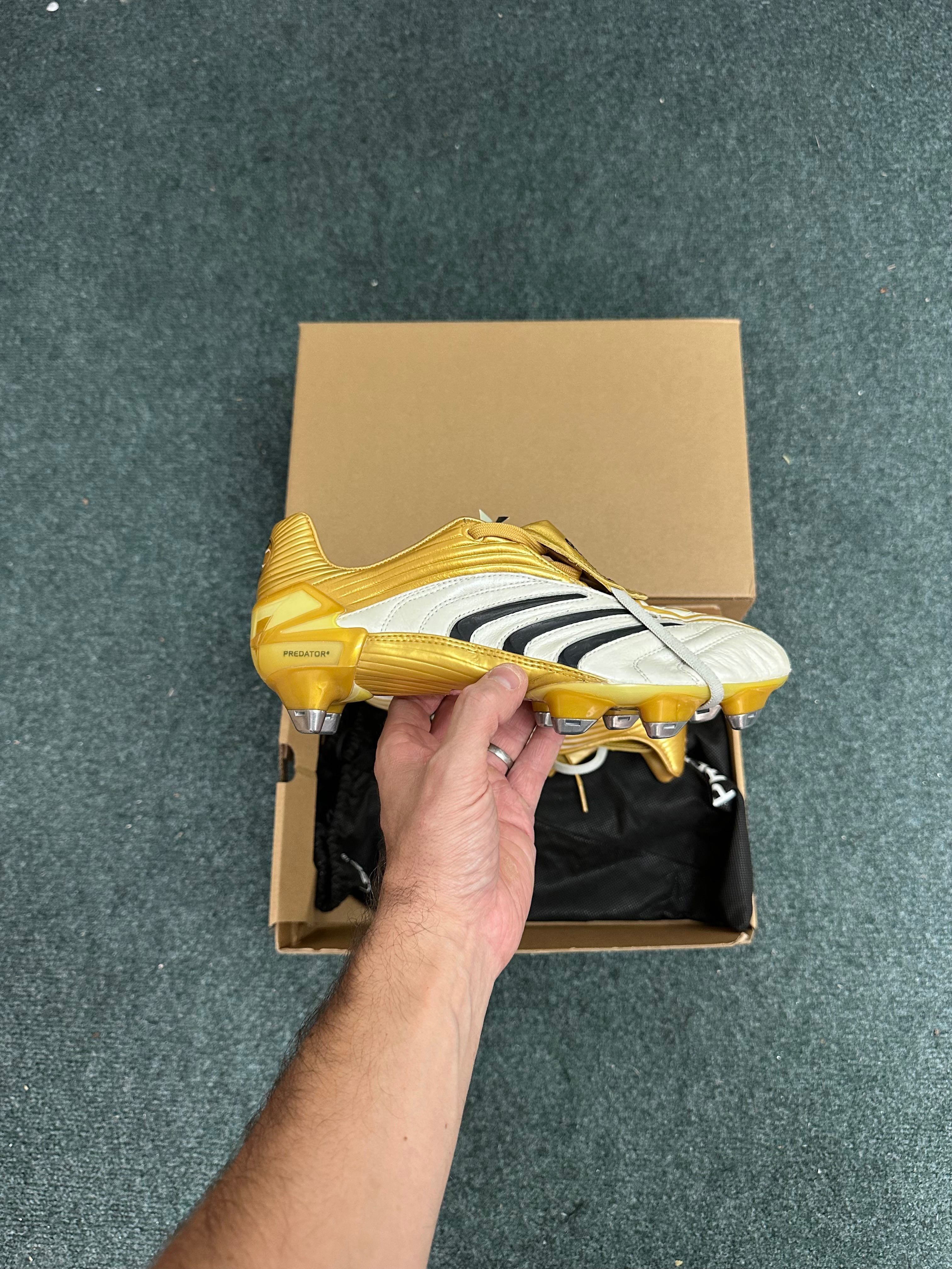 Adidas Predator Absolute XTRX SG