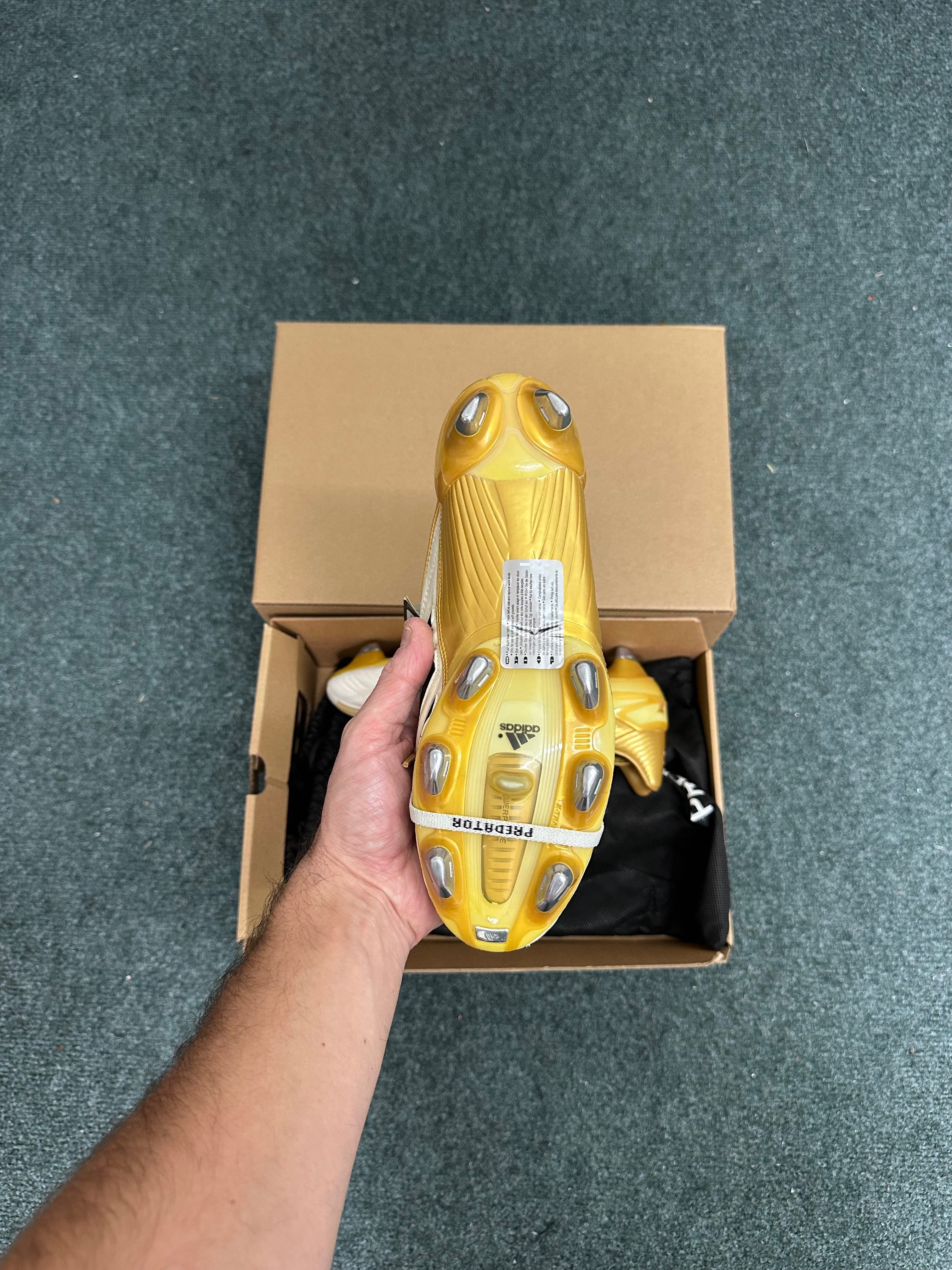 Adidas Predator Absolute XTRX SG