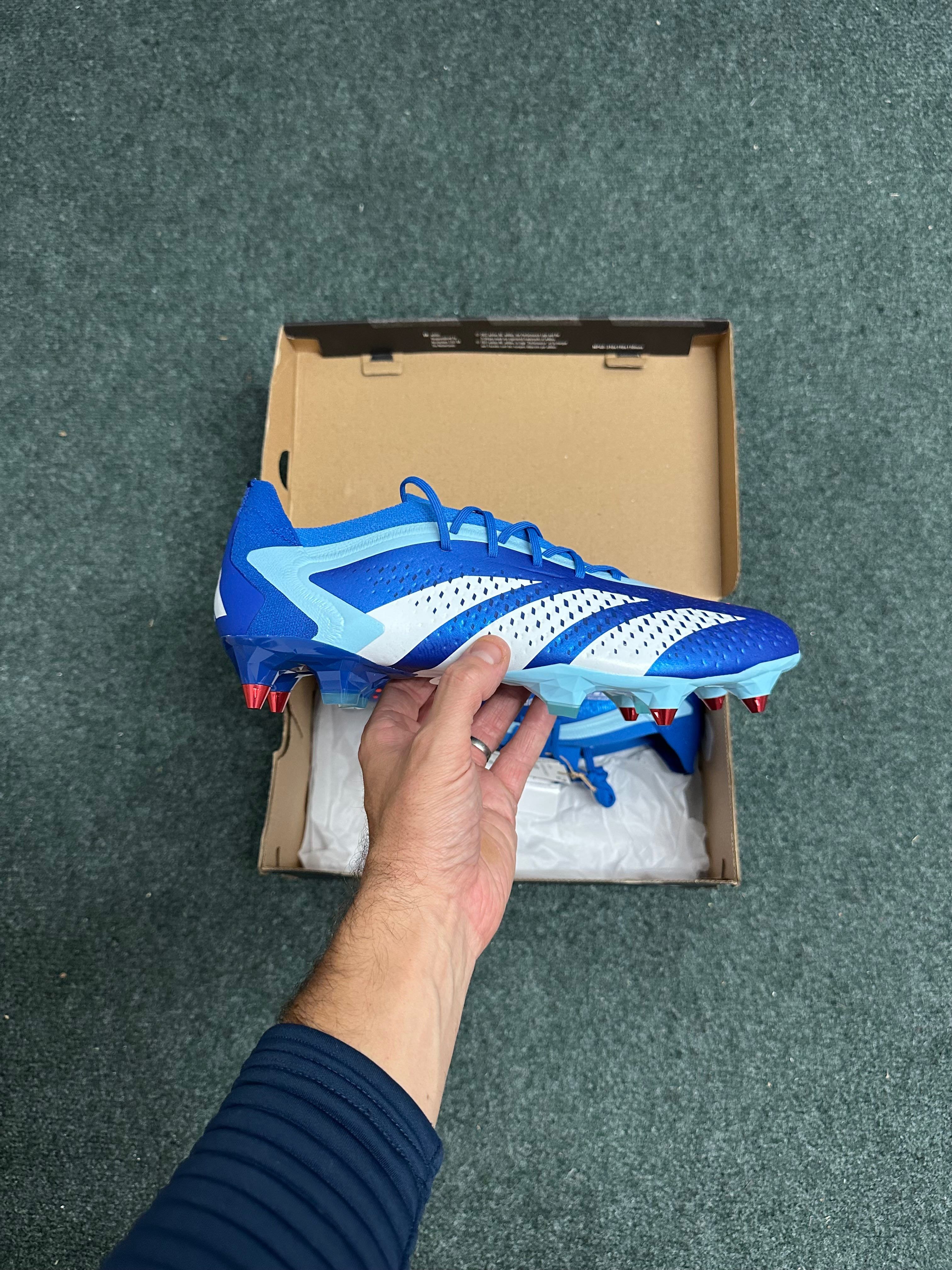 Adidas Predator Accuracy .1 Low SG