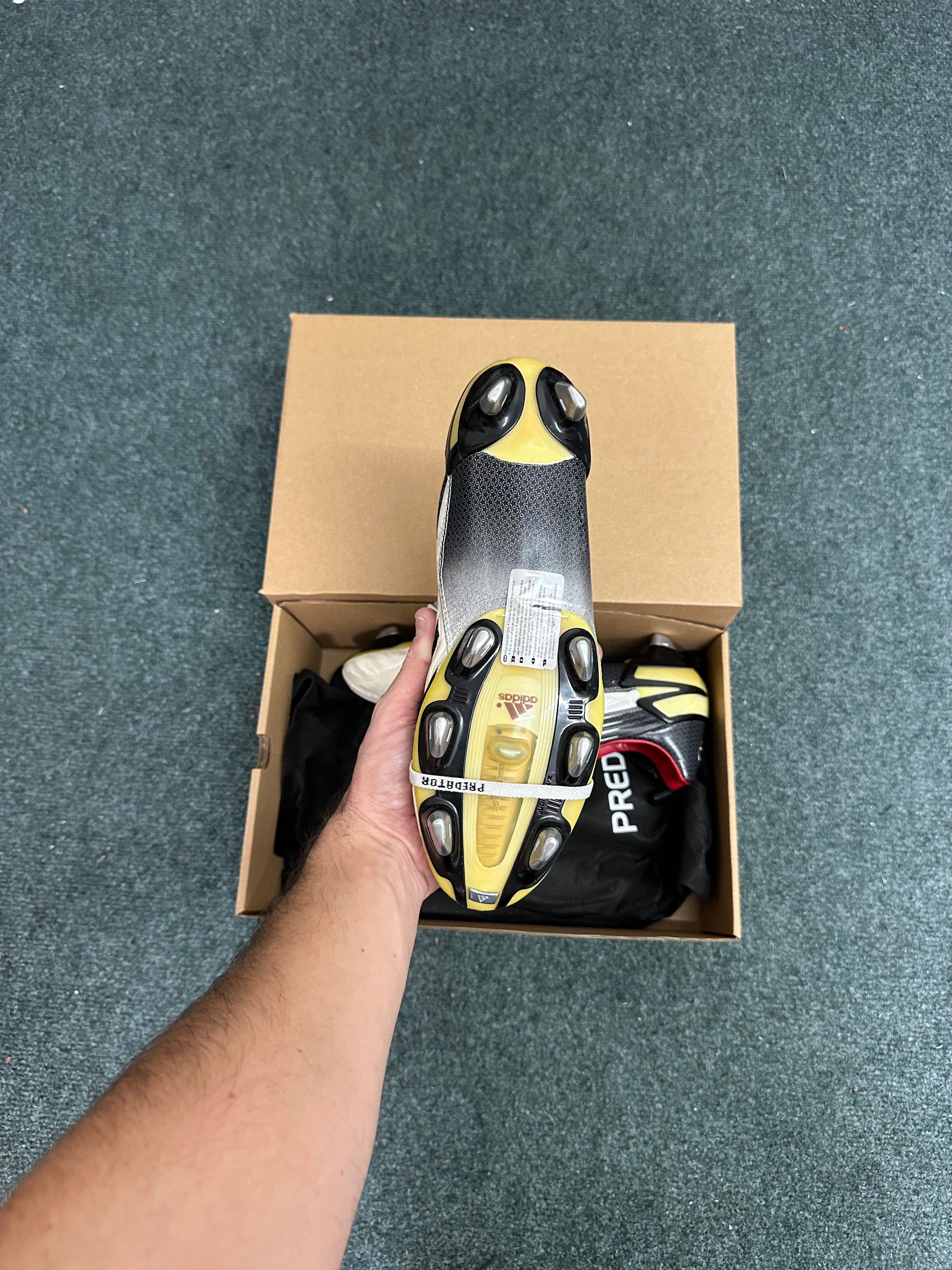 Adidas Predator Absolute XTRX SG