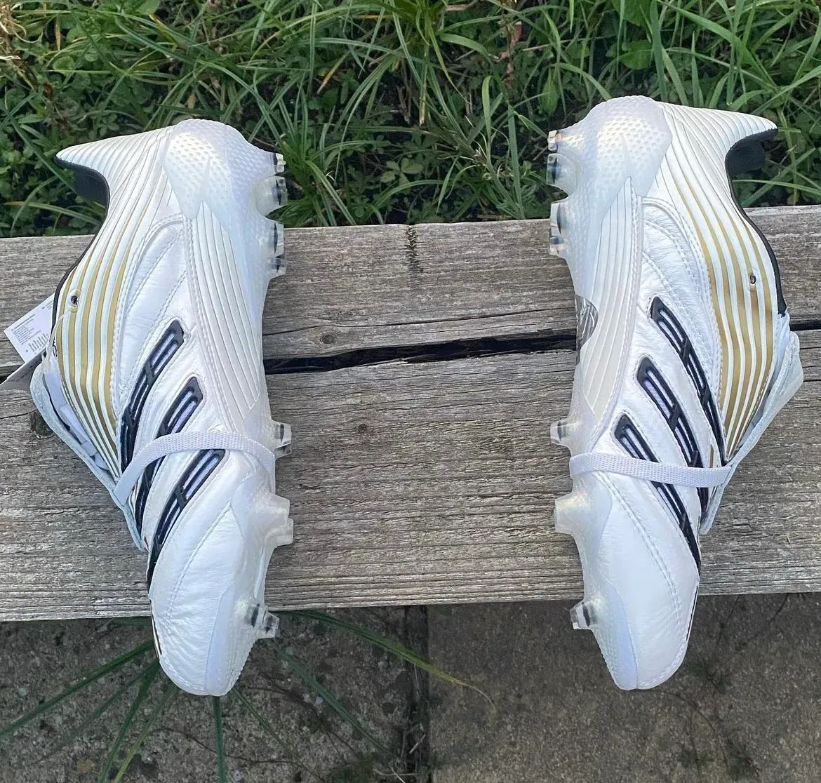 Adidas Predator Absolute FG