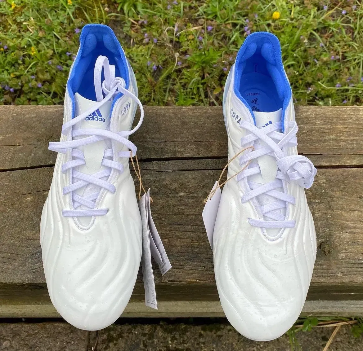 Adidas Copa Sense.1 SG