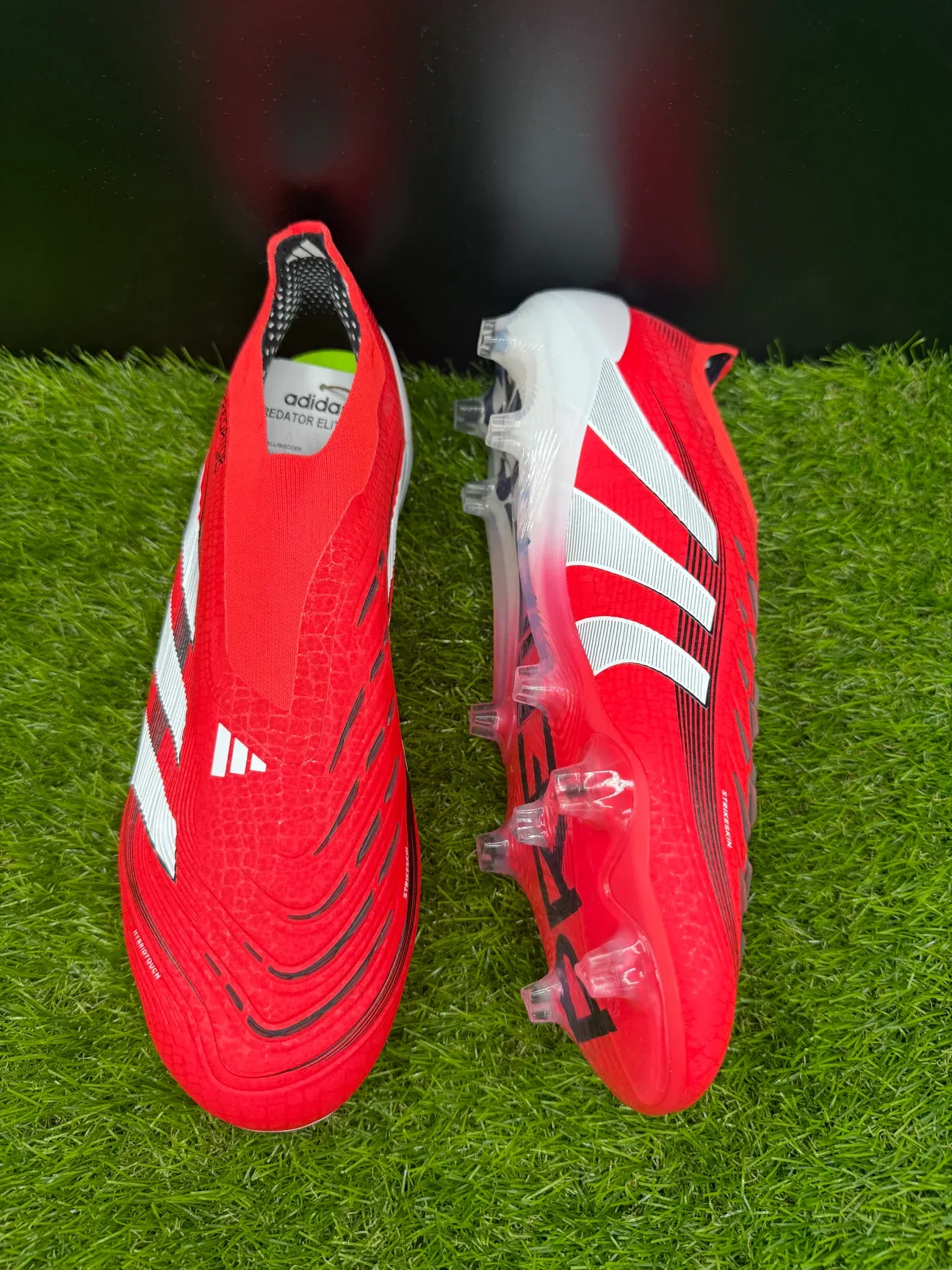 Adidas Predator Elite Laceless FG