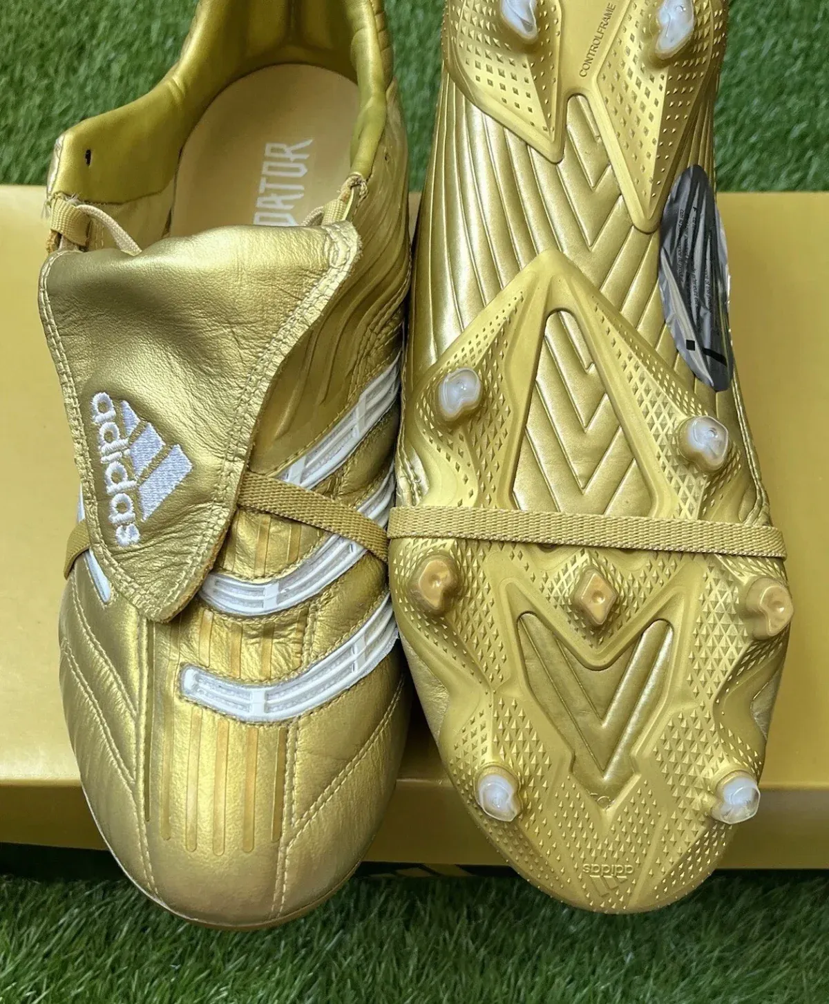 Adidas Predator Absolute Limited edition FG