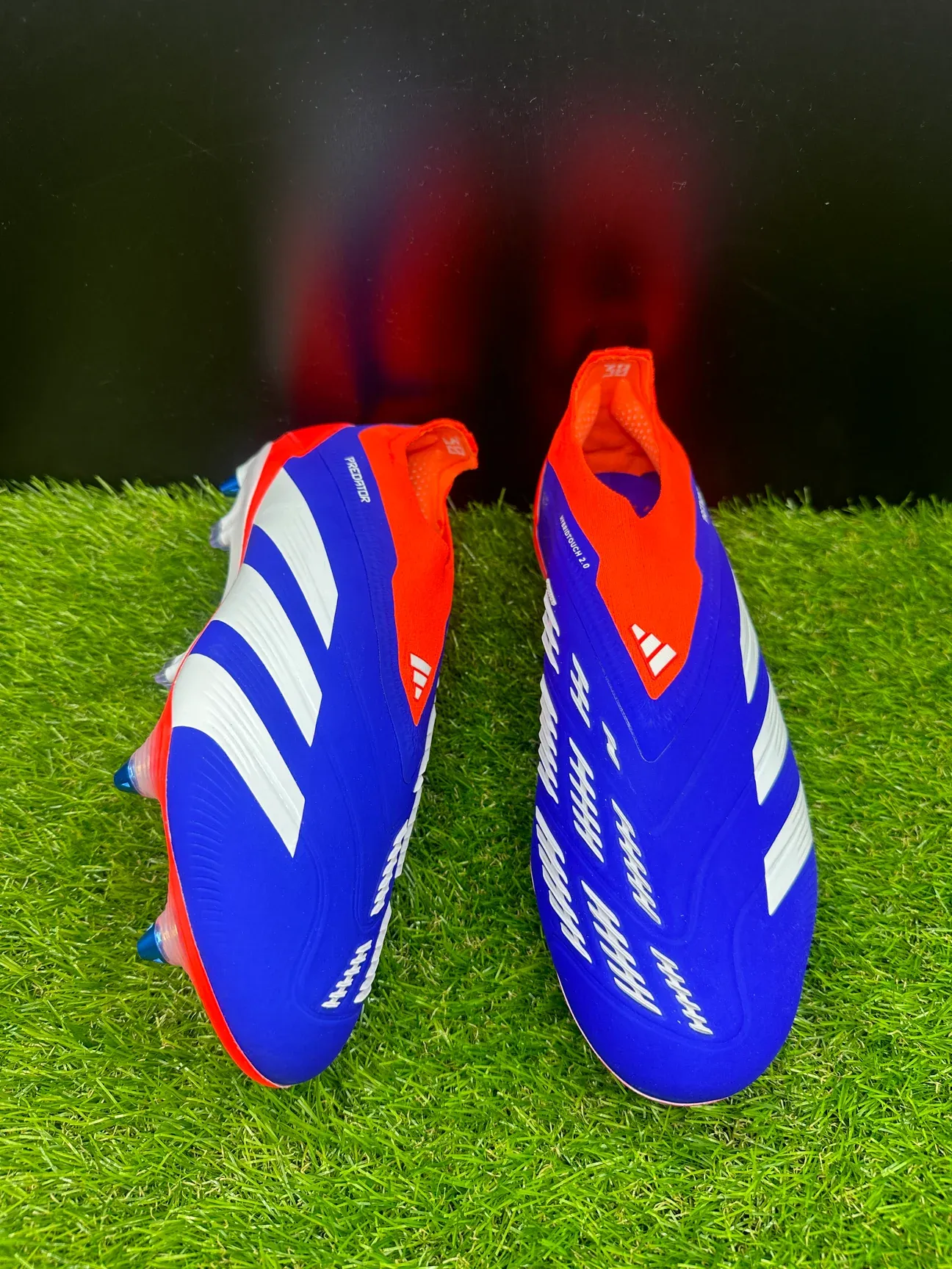 Adidas Predator Elite Laceless SG