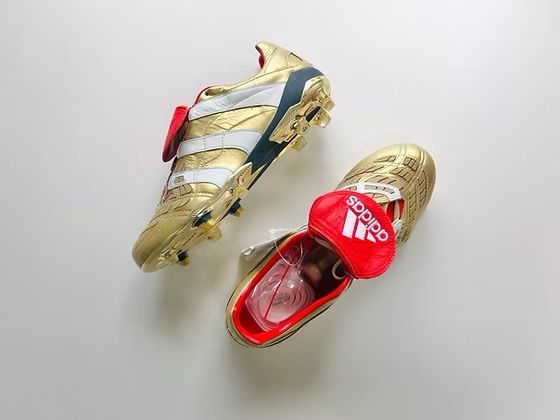 adidas Predator Accelerator ZZ Icon FG