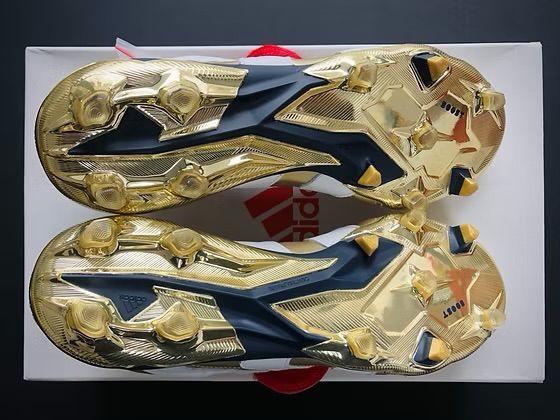 adidas Predator Accelerator ZZ Icon FG