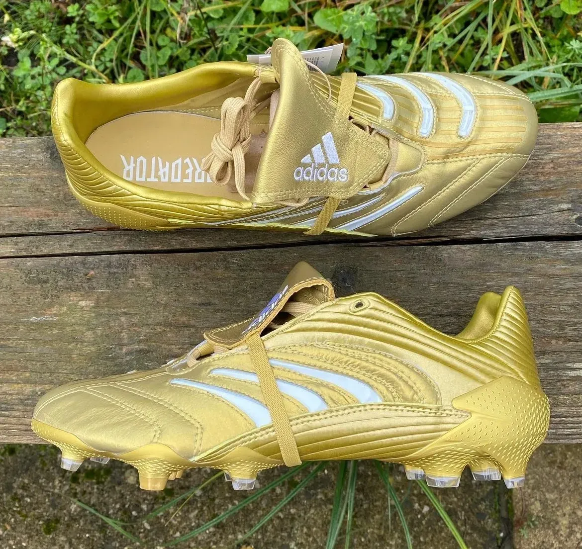 Adidas Predator Absolute FG