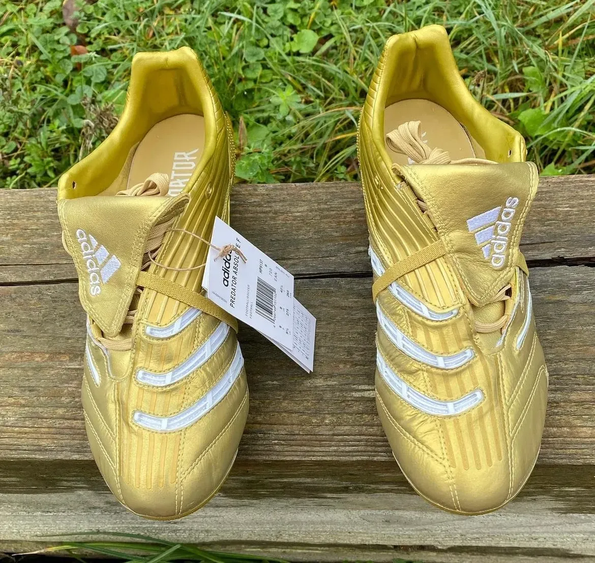Adidas Predator Absolute FG