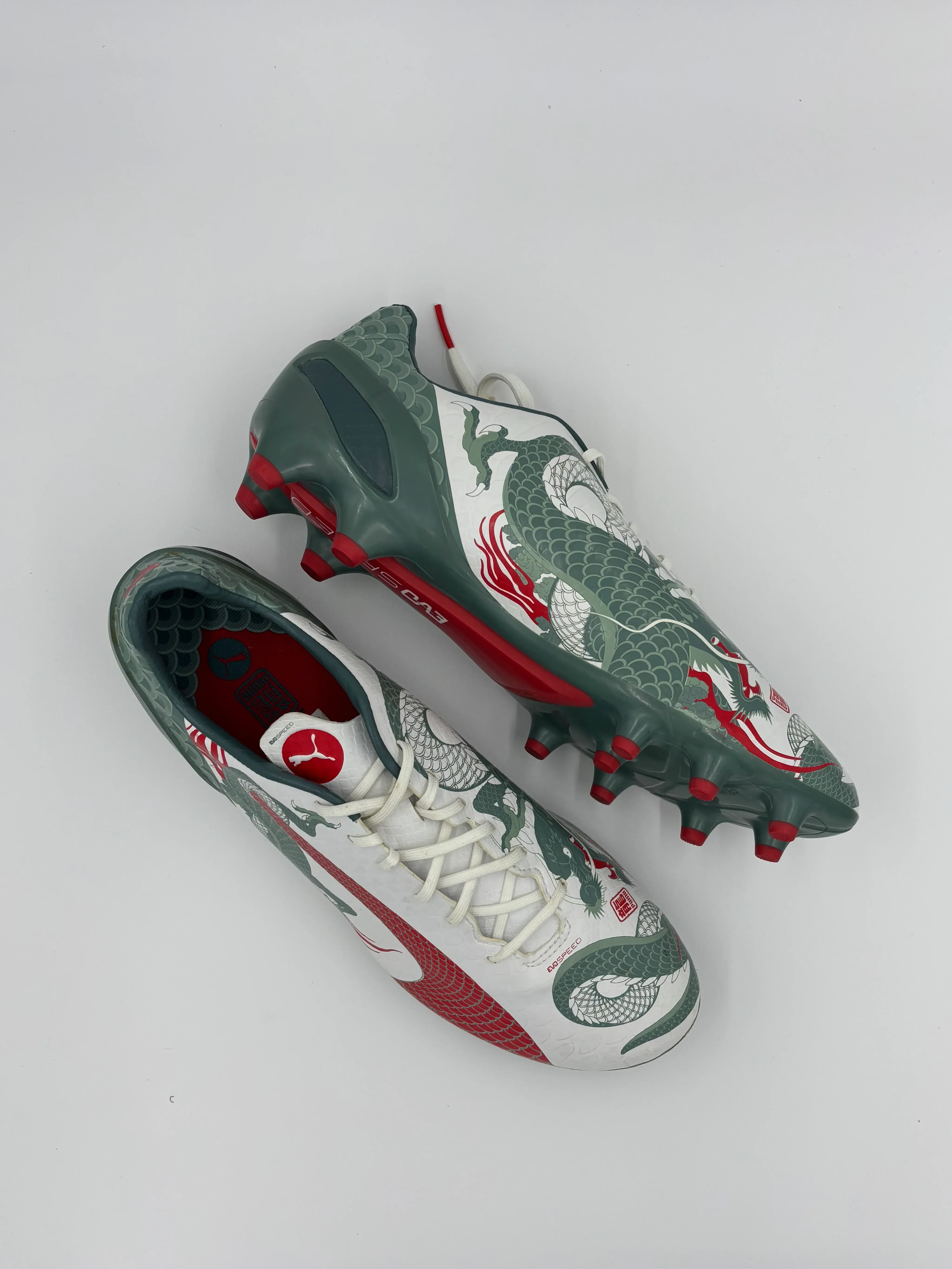Puma Evo Power Tokyo FG