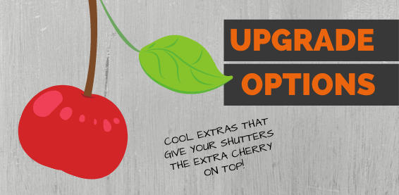 upgrade-options