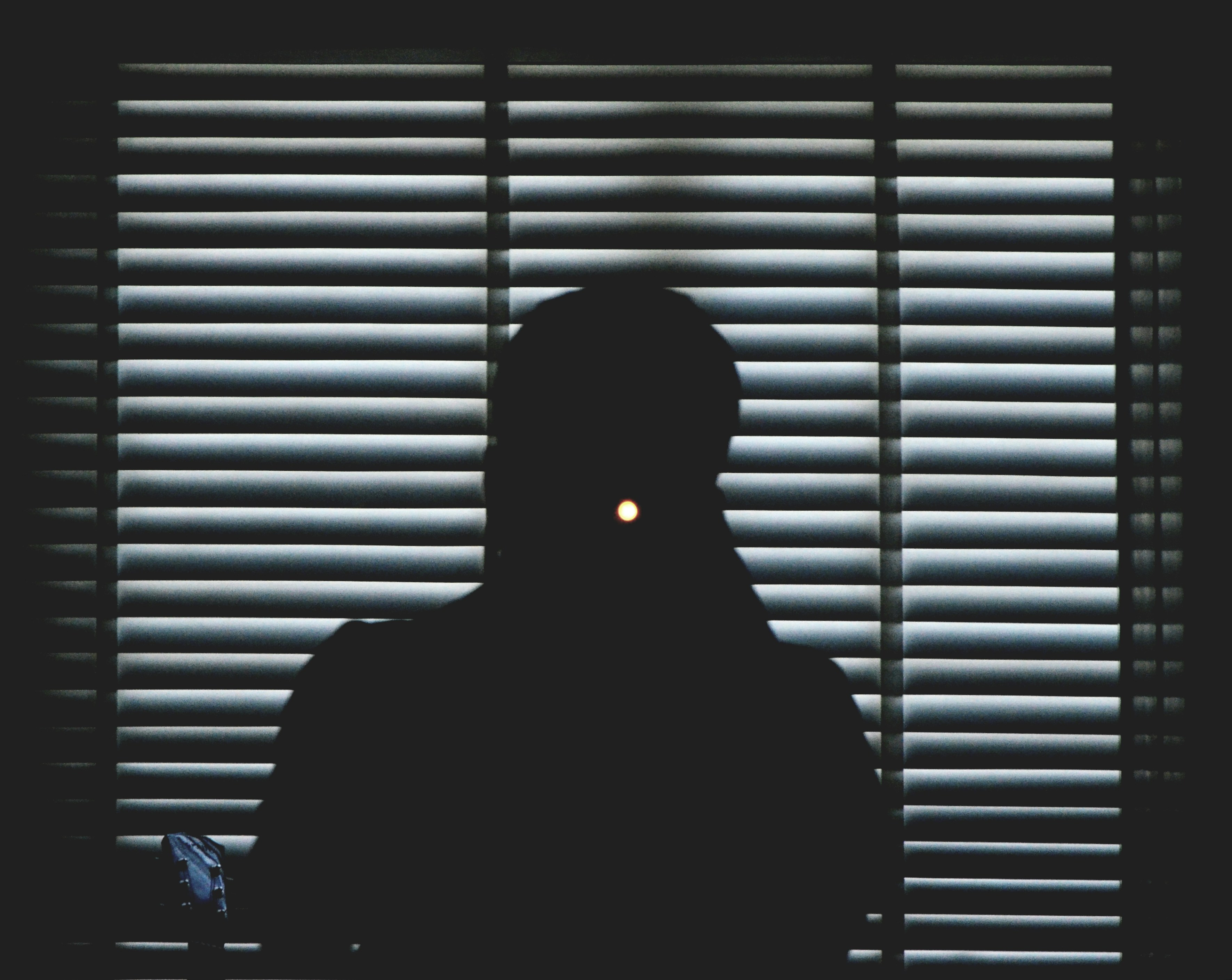 Can Burglars Disarm Intruder Alarms? (And how to protect your Home)  