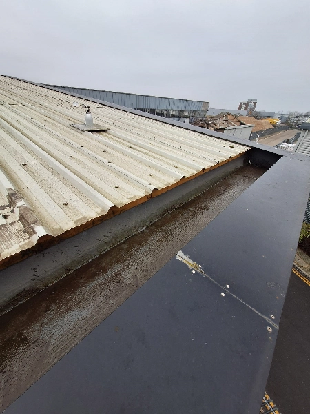 After Gutter Clean