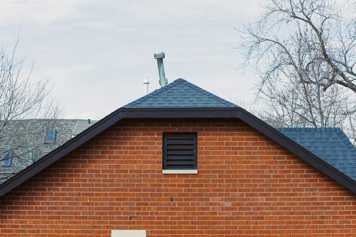 Picture of Town and City Bird Control