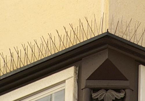 Anti Bird Spike System