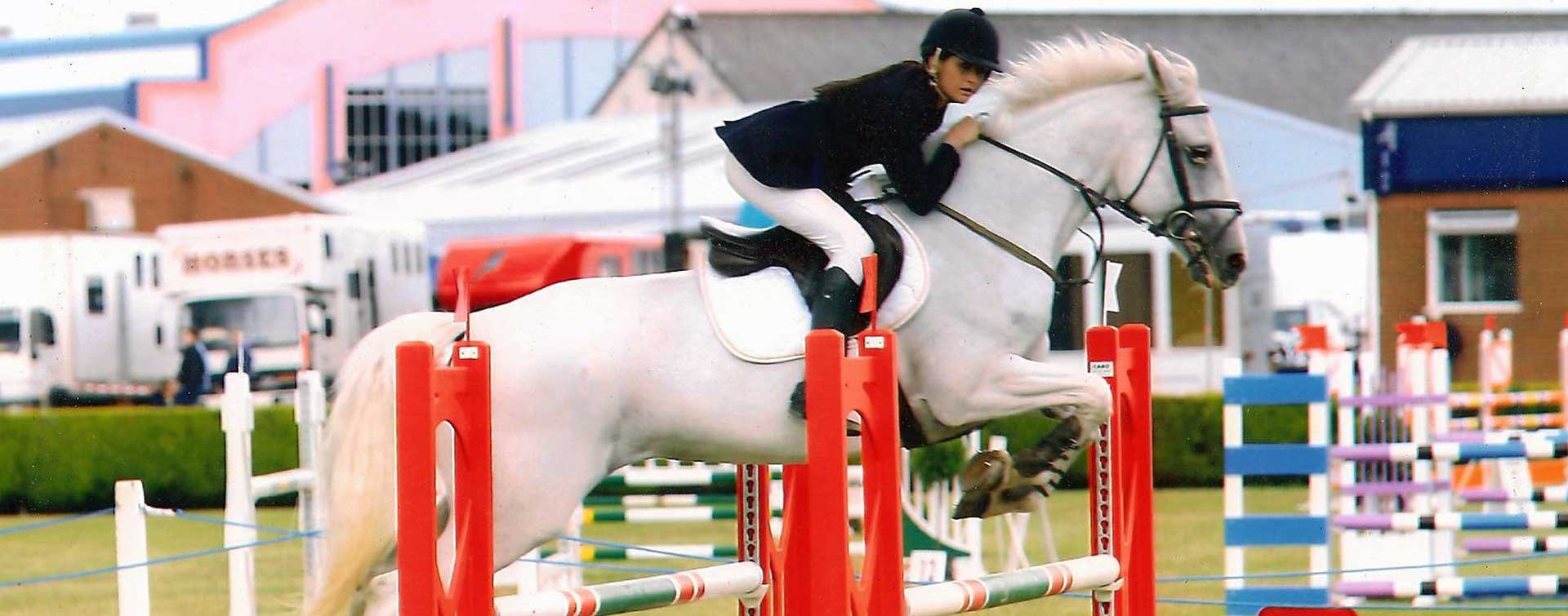 Sport Horse Sales