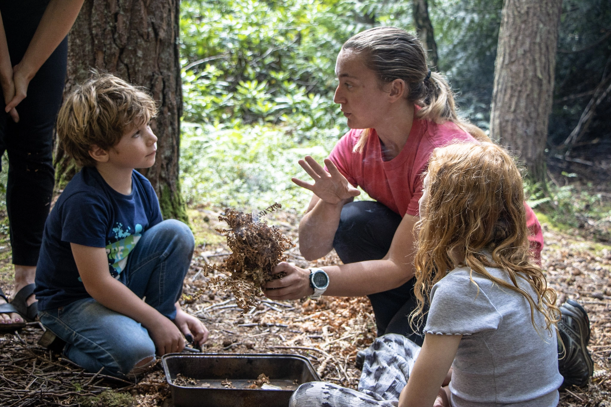 Full-day bushcraft immersion experience in the Cairngorms