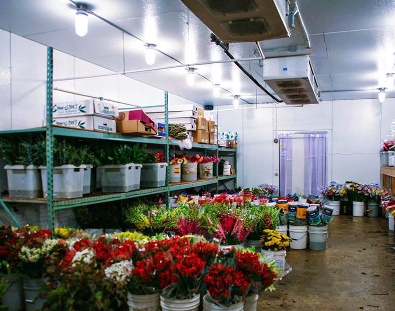Flower Refrigeration Solutions