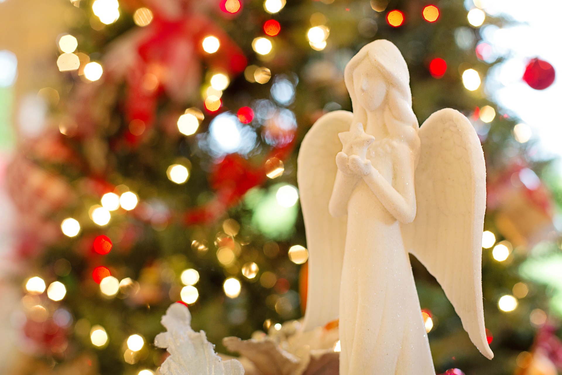 Christmas Cold Storage