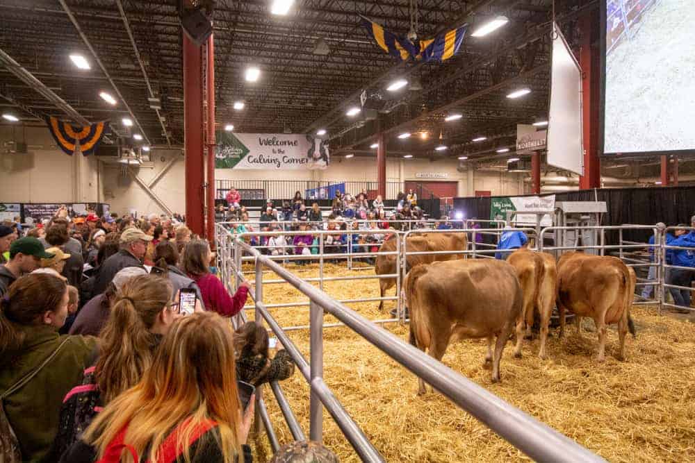 A Farm Show benefiting from fridge trailer rental