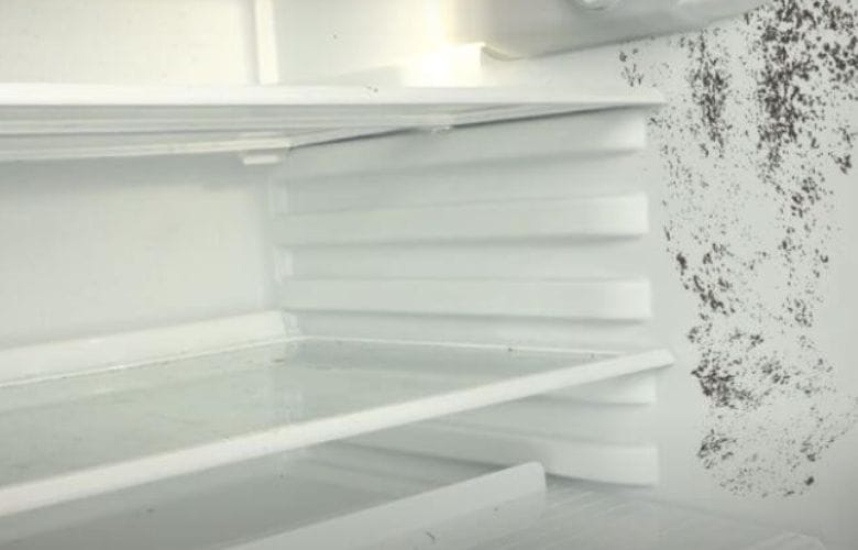 Picture of Mould